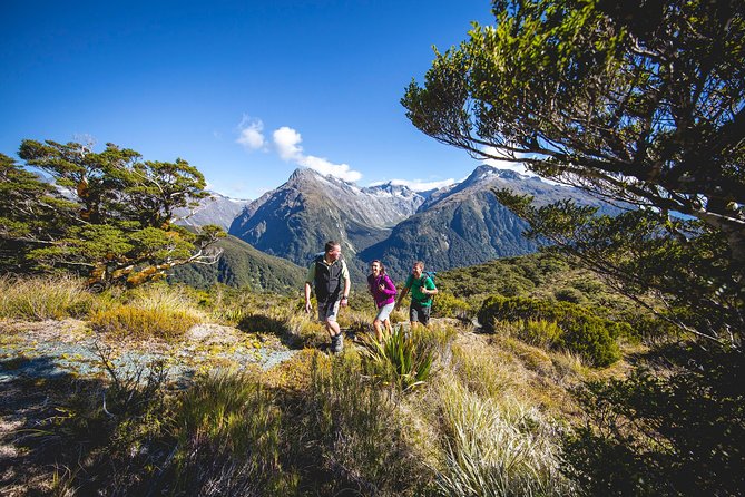 Full-Day Routeburn Track Key Summit Guided Walk from Te Anau - Key points before you book