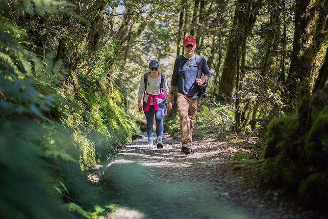 Full-Day Routeburn Track Key Summit Guided Walk from Te Anau - Why Key Summit makes a smart one-day Routeburn choice