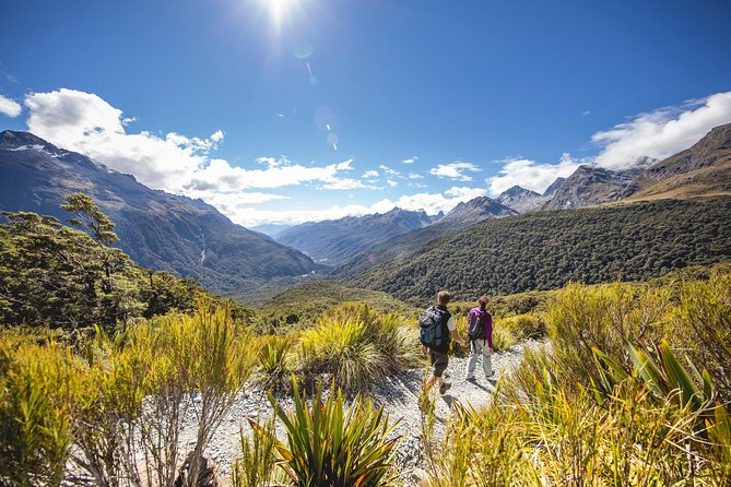 Full-Day Routeburn Track Key Summit Guided Walk from Te Anau - Key Summit and the alpine payoff