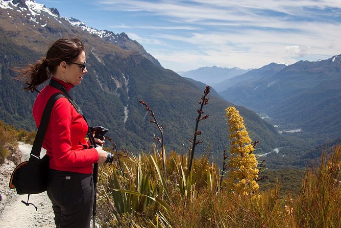 Full-Day Routeburn Track Key Summit Guided Walk from Te Anau - The descent back to the road