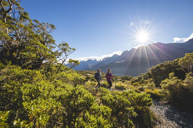 Full-Day Routeburn Track Key Summit Guided Walk from Te Anau - Fitness, age, and trail conditions