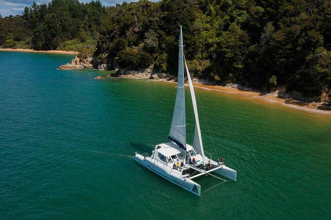 Full-Day Sailing Adventure in the Abel Tasman National Park - Anchorage Beach gives the day a proper break