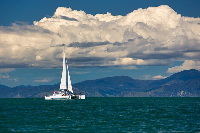 Full-Day Sailing Adventure in the Abel Tasman National Park - What the $167.55 price really covers