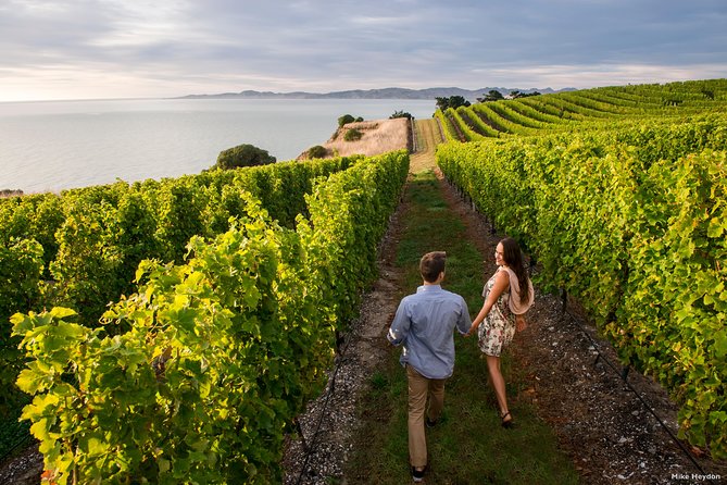 Full-Day Taste the Wines of Marlborough Tour - Key details before you book