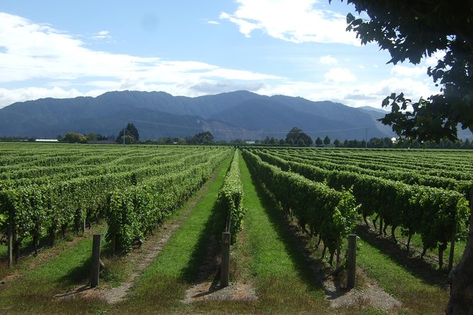 Full-Day Taste the Wines of Marlborough Tour - The minibus ride from Blenheim