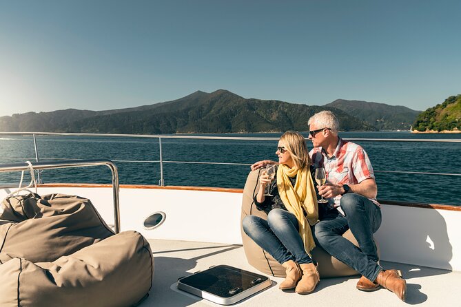 Full-Day Taste the Wines of Marlborough Tour - Guides, group size, and the human side