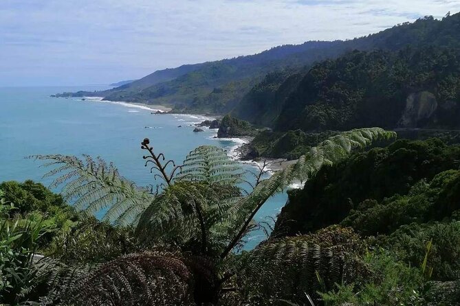 Full Day Tour of the Sights and Tastes of the West Coast - Key points before you book