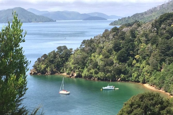Full-Day Wine Gourmet and Scenic Delight Tour of Marlborough from Blenheim - Pamela and the value of local guidance