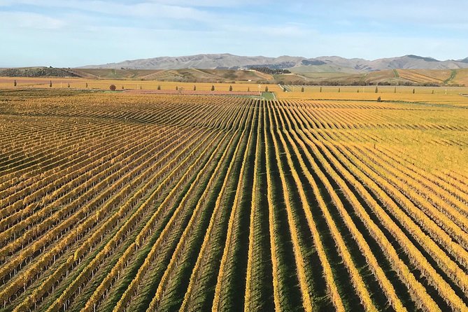 Full-Day Wine Gourmet and Scenic Delight Tour of Marlborough from Blenheim - What the $183.07 price really covers