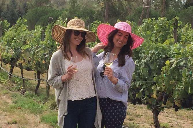 Full-Day Wine Gourmet and Scenic Delight Tour of Marlborough from Blenheim - Saint Clair brings wine and lunch together
