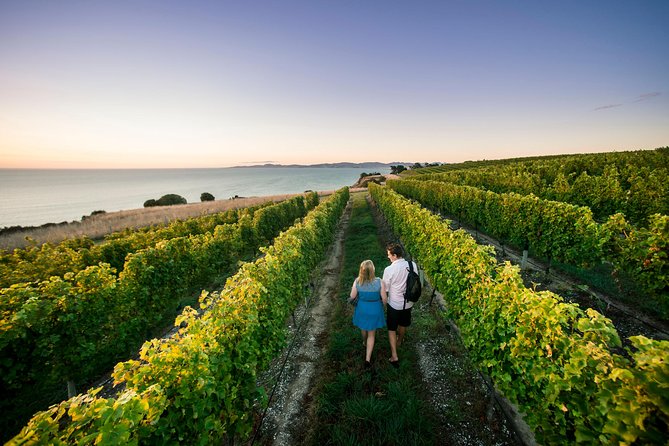 Full Day Winemakers Tour in Marlborough - Tasting across several different winery styles