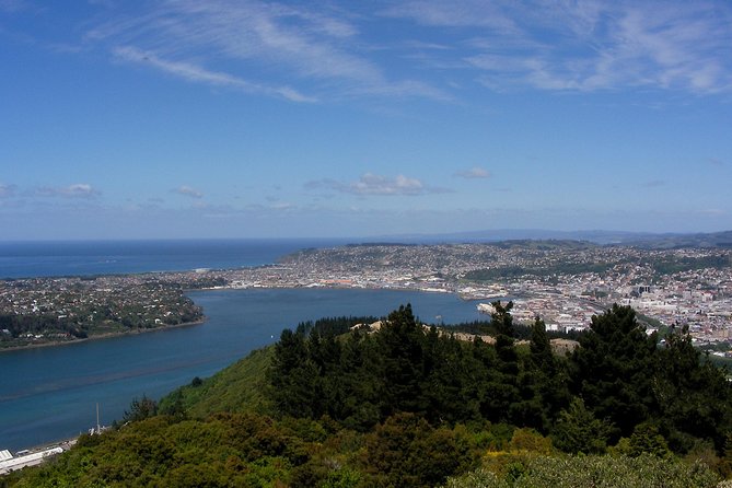 Garden and City tour - Why this half-day tour fits a cruise stop