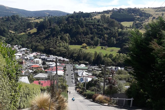 Garden and City tour - Dunedin Railway Station rewards a short visit