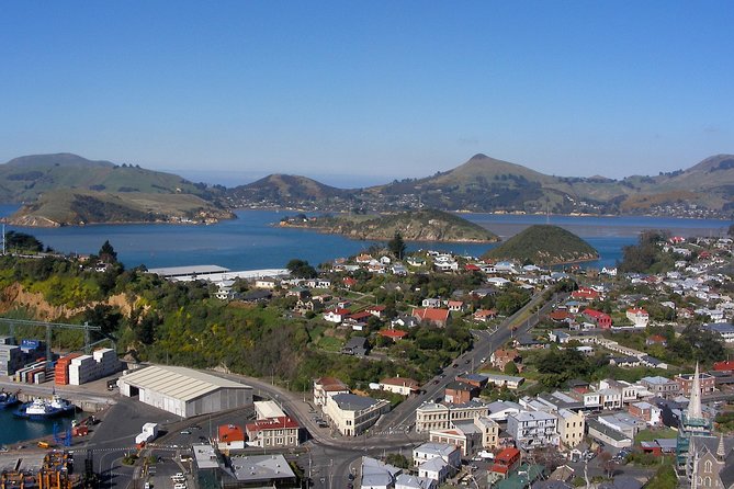 Garden and City tour - Baldwin Street turns sightseeing into a small challenge