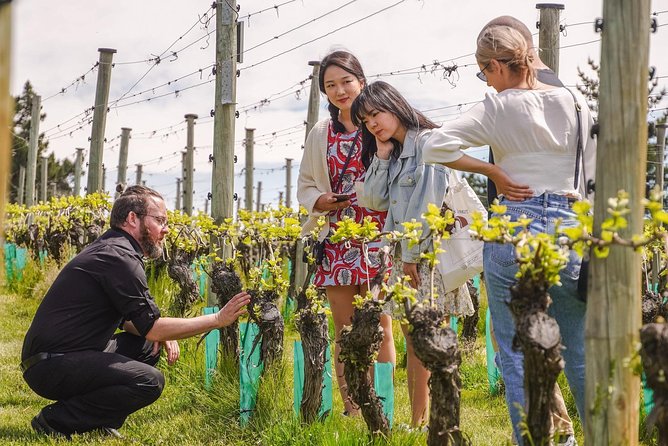 Gibbston Valley Wines - Winery Tour - A Short Wine Tour With Real Content