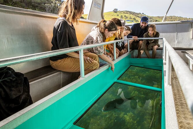 Glass Bottom Boat Tour - Why Goat Island makes a good short boat trip