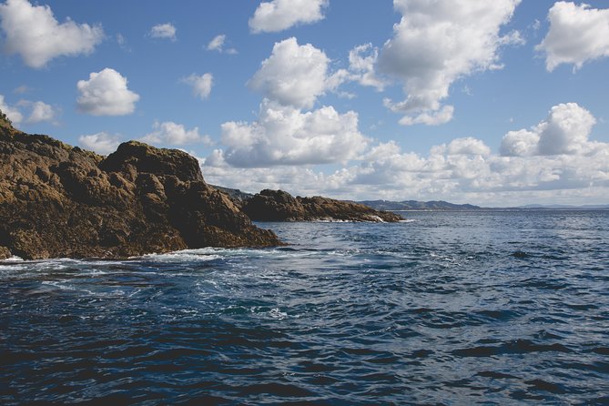 Glass Bottom Boat Tour - Birds and the wider coastal setting