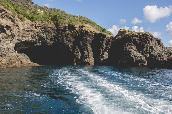 Glass Bottom Boat Tour - Who will enjoy this most?