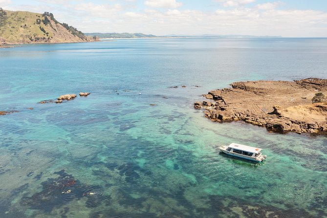 Glass Bottom Boat Tour - What the one-hour schedule feels like