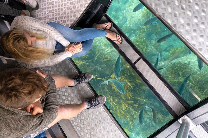 Glass Bottom Boat Whitianga Cathedral Cove Cruise - Five things to know before you sail