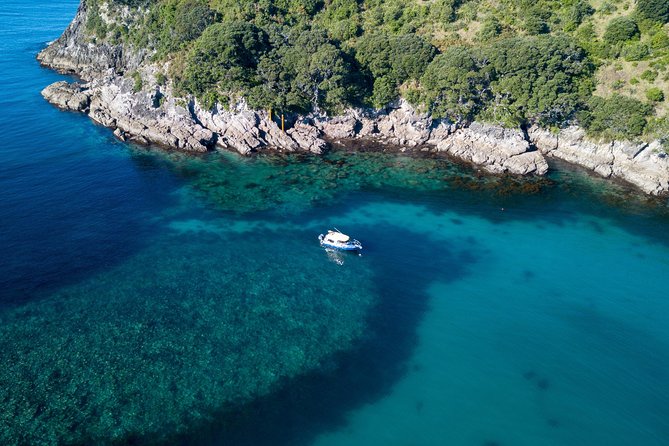 Glass Bottom Boat Whitianga Cathedral Cove Cruise - The swim and snorkel finish