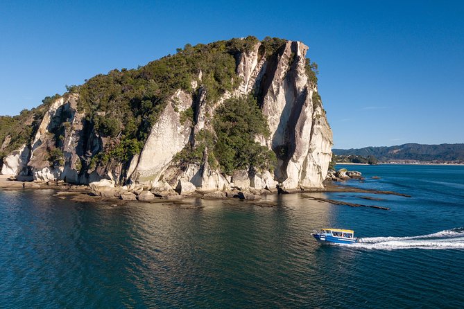 Glass Bottom Boat Whitianga Cathedral Cove Cruise - Marine mammals and responsible viewing
