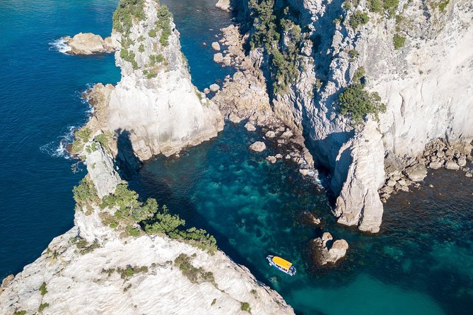 Glass Bottom Boat Whitianga Cathedral Cove Cruise - What the $93.09 fare gets you