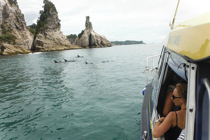 Glass Bottom Boat Whitianga Cathedral Cove Cruise - Who will enjoy this cruise most