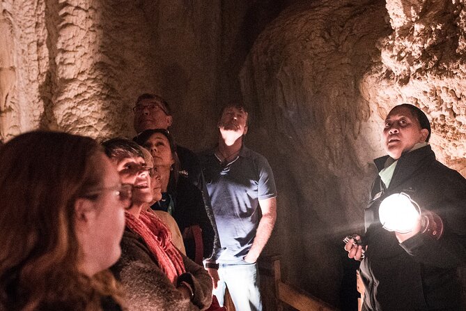 Glow Worm Caves Express Tour in Bay of Islands - Key points to know before booking