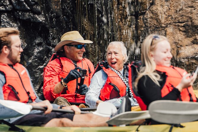 Glow Worm Caves Express Tour in Bay of Islands - Timing for a cruise-ship day
