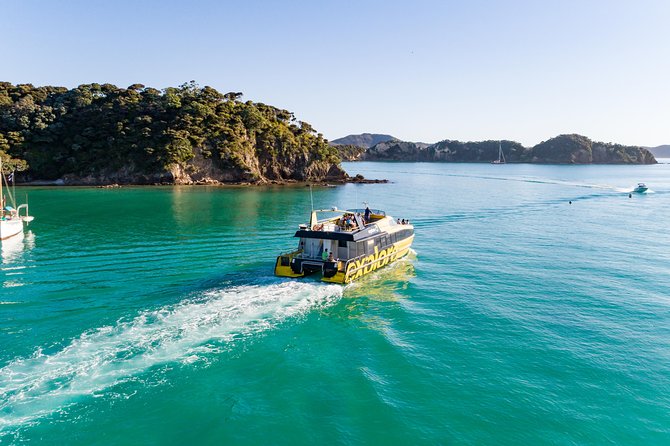 Glow Worm Caves Express Tour in Bay of Islands - Crowds, waiting, and the real pace