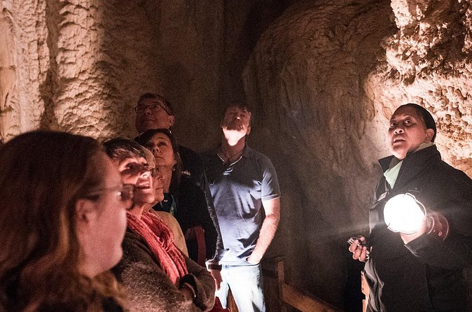 Glow Worm Caves Express Tour in Bay of Islands - Why the cave feels personal