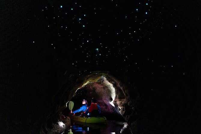 Glow Worm Kayak Tour - Key points to know before you book
