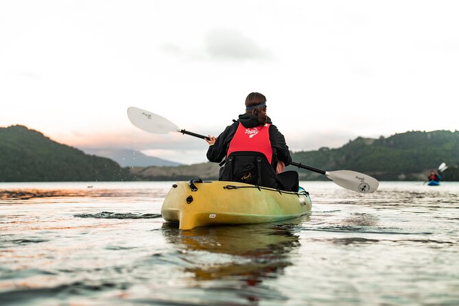 Glow Worm Kayak Tour - Look up after the caves