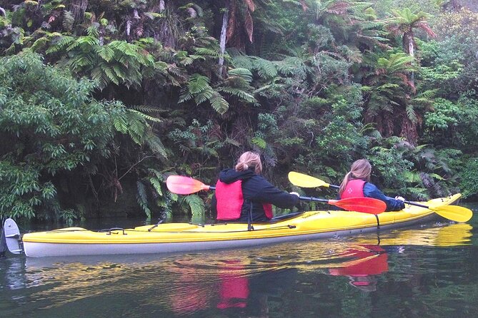Glowworm Kayak Adventure on the Waikato River - Key Points Before You Book