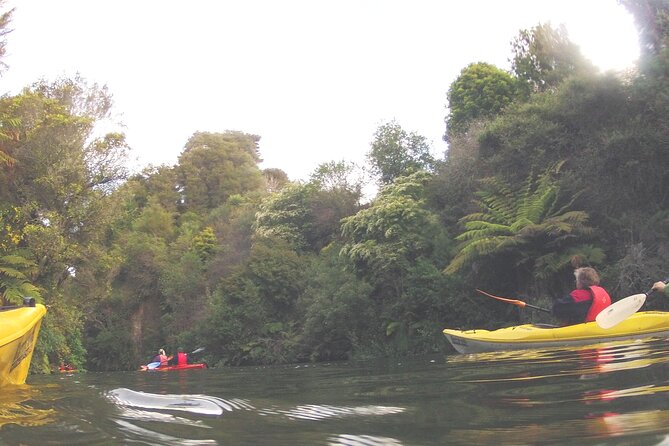 Glowworm Kayak Adventure on the Waikato River - Entering the Pokaiwhenua Canyon