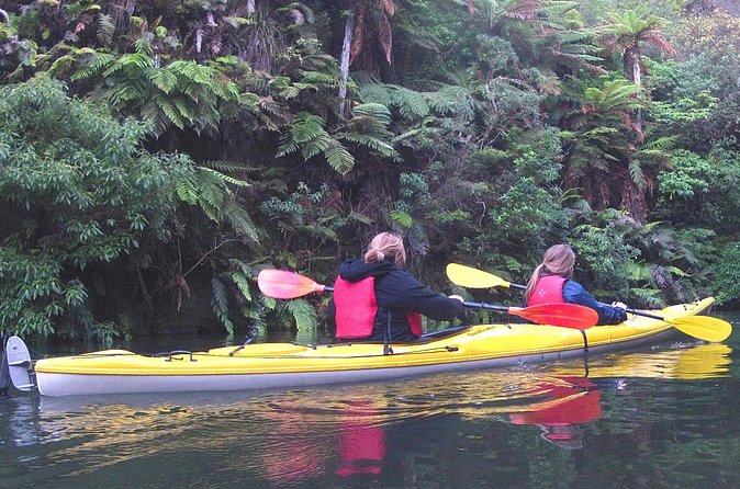Glowworm Kayak Adventure on the Waikato River - Returning Under the Stars