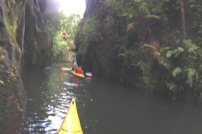Glowworm Kayak Adventure on the Waikato River - Crossing the Lake in Daylight
