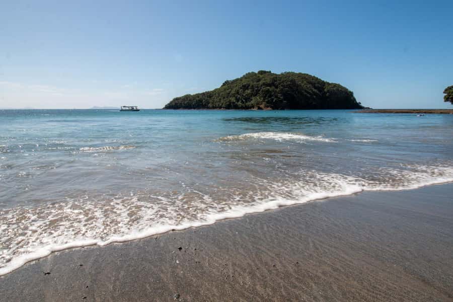 Goat Island: Glass Bottom Boat Tour - Key points at a glance