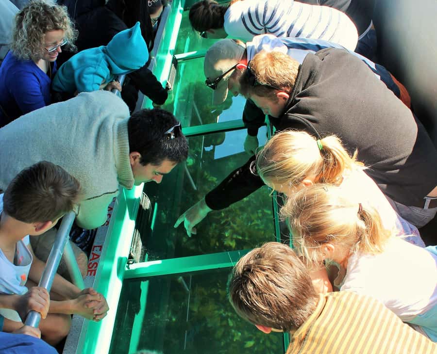 Goat Island: Glass Bottom Boat Tour - Why Goat Island is worth seeing from the water