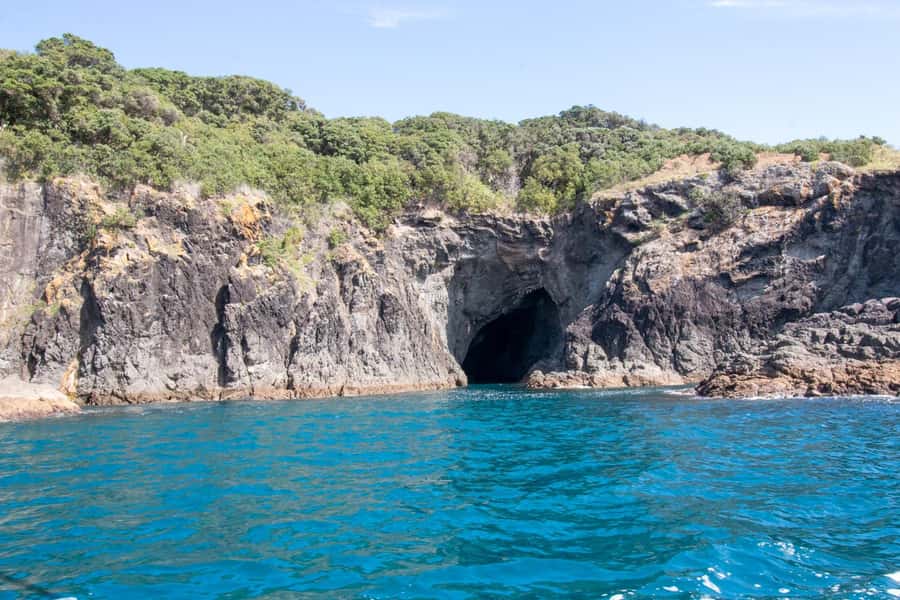 Goat Island: Glass Bottom Boat Tour - Timing, weather, and practical planning