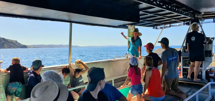 Goat Island: Glass Bottom Boat Tour - Meeting the boat on Goat Island Beach