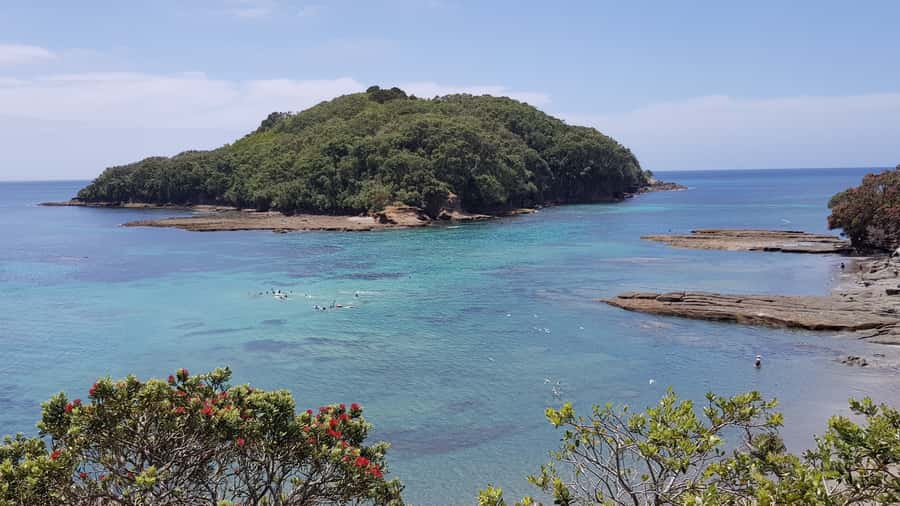 Goat Island Guided Snorkeling Tour for Beginners - Who will get the most from this tour
