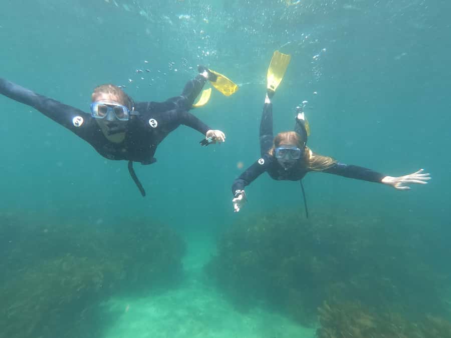 Goat Island Guided Snorkelling Tour For Advanced - Key points to know before booking