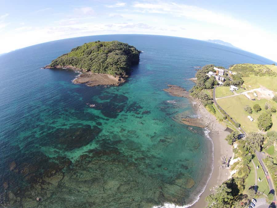 Goat Island Guided Snorkelling Tour For Advanced - What this Goat Island session is really designed to teach