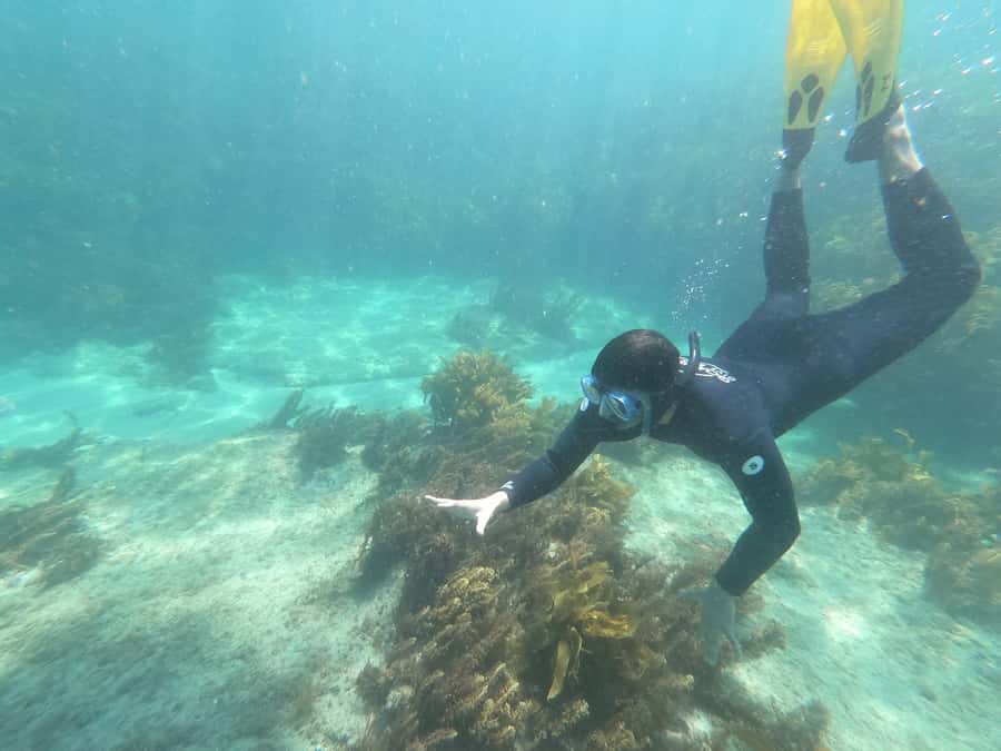 Goat Island Guided Snorkelling Tour For Advanced - Collecting your equipment at Goat Island Dive and Snorkel Centre