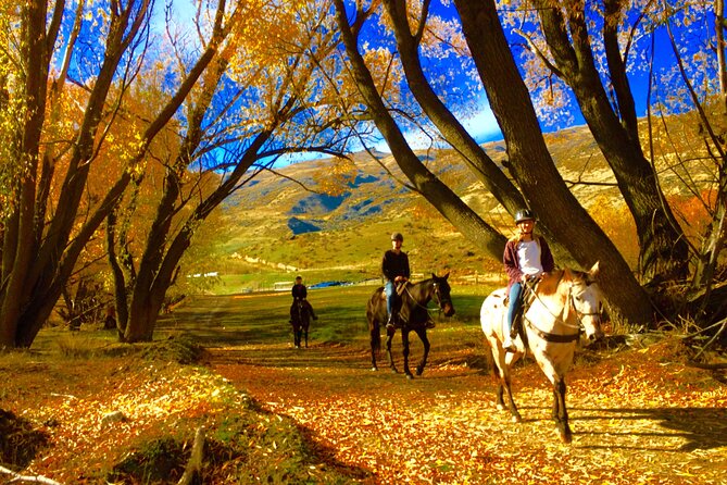 Gold Discovery Trail Horse Trek Cardrona - Most popular! - Meeting the horses and finding your match
