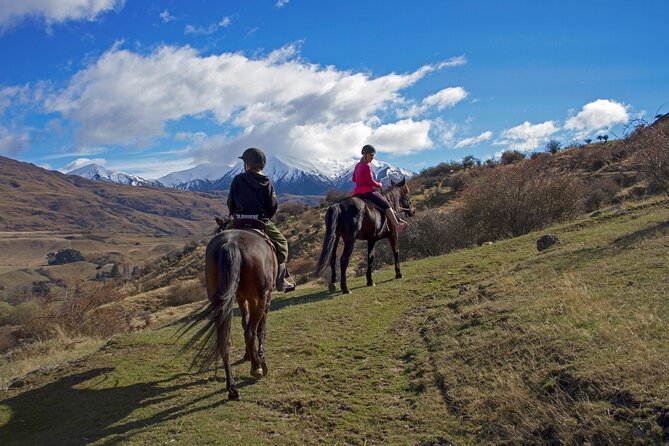 Gold Discovery Trail Horse Trek Cardrona - Most popular! - The first lesson: simple skills for nervous beginners