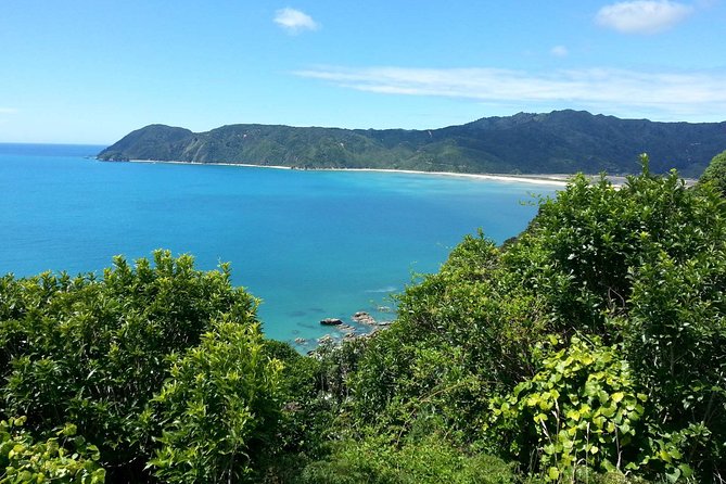 Golden Bay in a Day - Key points to know before booking