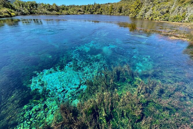 Golden Bay in a Day - Why Golden Bay works well as a day trip from Nelson